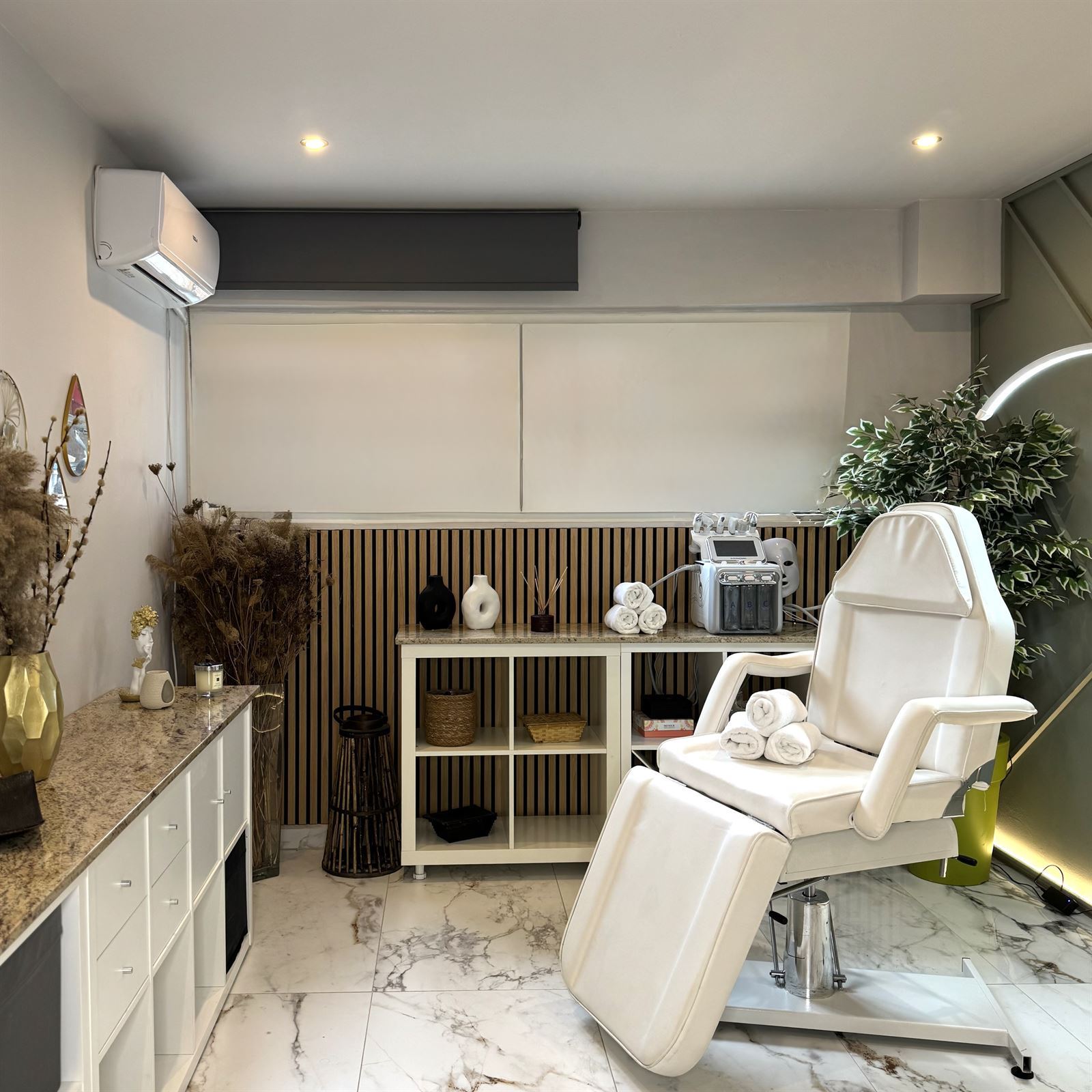 Holistic Facial Treatment